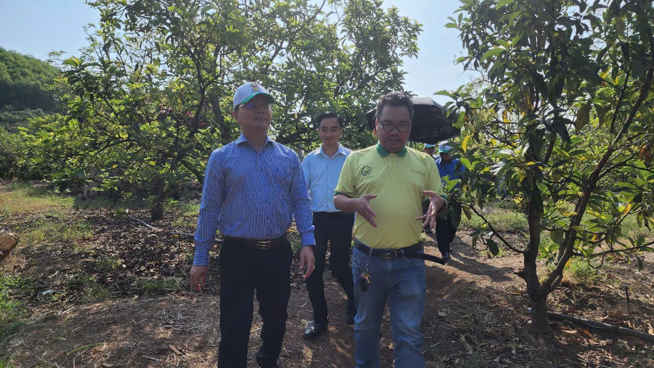 Thăm và tặng quà tại Hội chợ Xuân phường Xuân Đỉnh